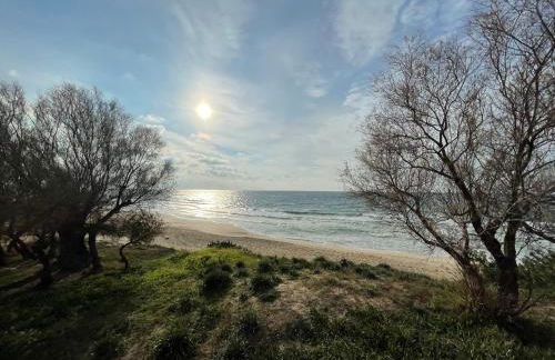 CASAMARE San Pietro in Bevagna - Foto 27