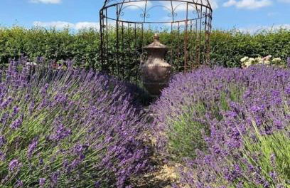 The Old Cattle Barn - Photo 11