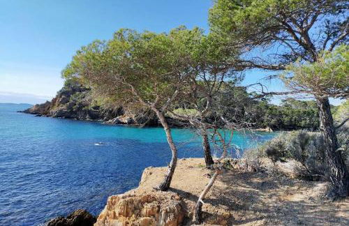 Le Figuier appart 2-3 pers en plein vignoble avec piscine privée à 30mn des gorgesdu Verdon et des plages - Foto 30