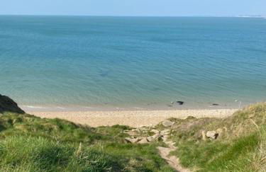 Brambles chine - Photo 15