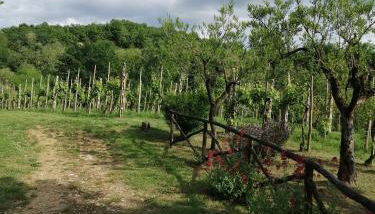 Appartamento Bellosguardo - Foto 3