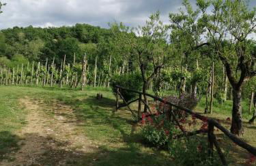 Appartamento Bellosguardo - Photo 3