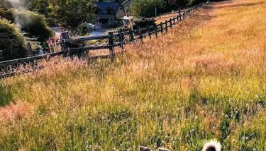 Beautiful Barn Conversion in West Wales - Foto 4