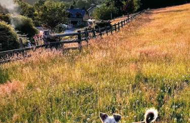 Beautiful Barn Conversion in West Wales - Foto 4