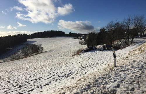 Appartement Am Skihang Altastenberg 1 km zum Skikarusell Winterberg - Photo 28