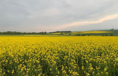 FeldQuartier - Foto 16