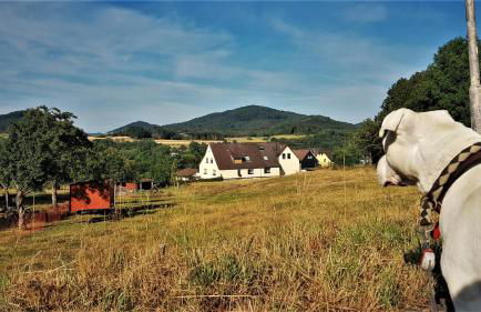 Ferienhaus Laange - Foto 27