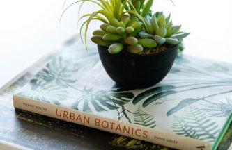 Berkshire Vacation Rentals: Great Barrington Walkable To Lake And Town - Foto 37