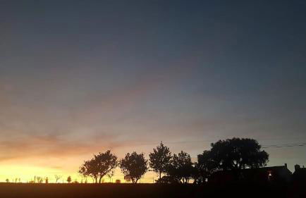 Herdade Reguenguinho - Foto 28