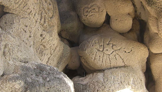 Excursión al lago Enriquillo con avistamiento de cocodrilos - Foto 4