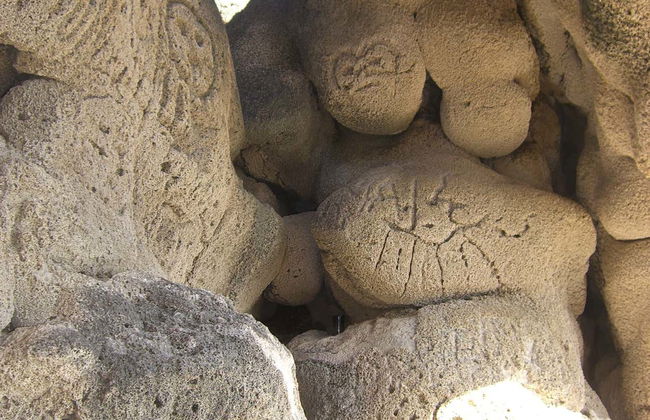 Excursión al lago Enriquillo con avistamiento de cocodrilos - Foto 4