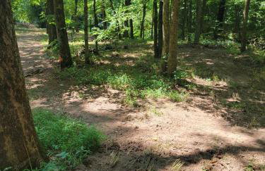 Echo Valley Outdoor Oasis Campsite - Foto 14