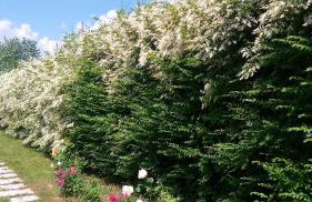 Agriturismo Il Magicorto - Photo 8