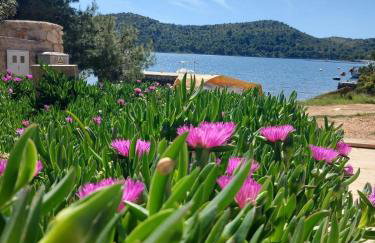 Seaside house for families with children Skrivena Luka, Lastovo - 24059 - Foto 15