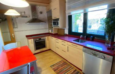 Casa Loureal Ribeira Sacra Ourense - Foto 7