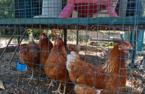Villa con Piscina in Umbria - Foto 33