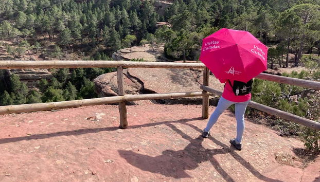 Tour por las pinturas rupestres de los Pinares de Rodeno - Photo 3