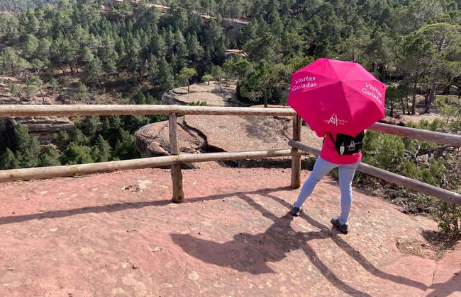 Visite des peintures rupestres de Pinares de Rodeno - Photo 3