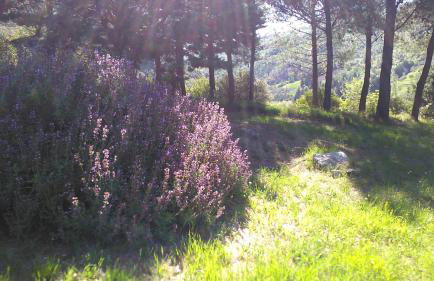 Agriturismo Il Gelso - Foto 102