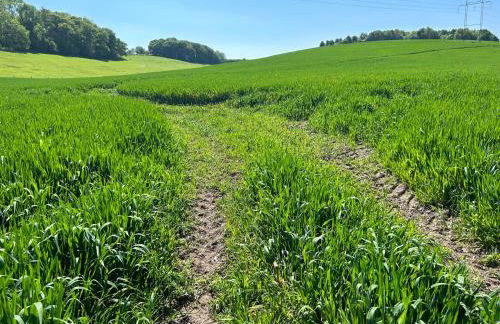 Keepers Cottage - Photo 35