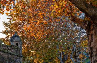 Apartamento da Estação - Foto 39