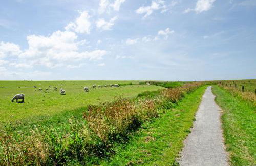 Seeschwalbe Hilgenriedersiel - Foto 24