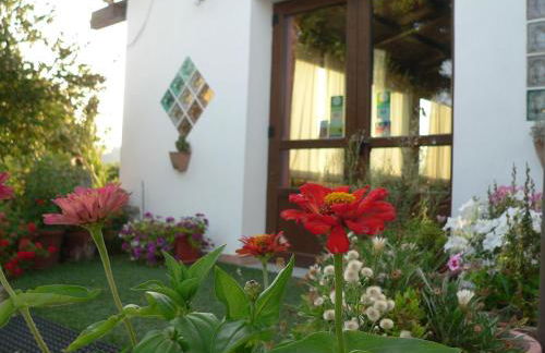 Agriturismo Sa Tanca Noa - Photo 57