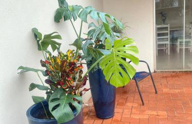 Casa Tropicale House accommodates family and work - Foto 45