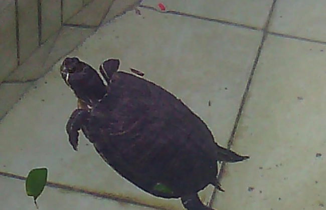 Artisti del Cavallo Tourism - Foto 18