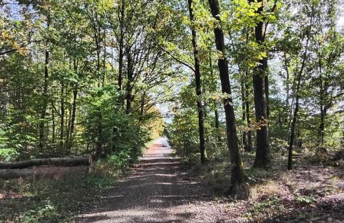 Hochwald chalet - Photo 36