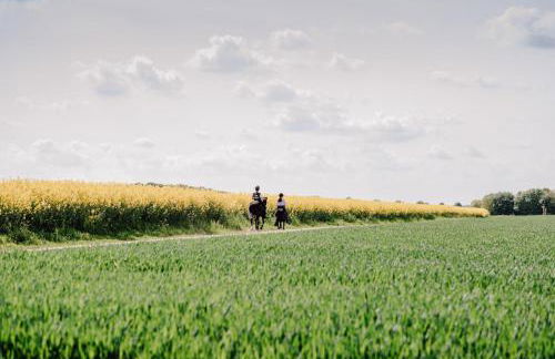 Ferienhof Werner - Foto 13