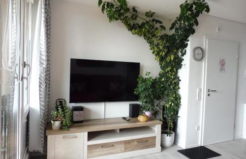 Komfortable Wohnungen und Studio in Sankt Englmar - Foto 7