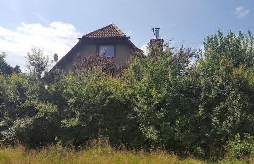 Apartamenty Holiday Slaw jacuzzi bilard - Foto 20