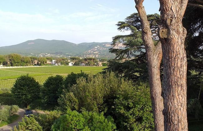 Villa Cavalletti - Foto 18