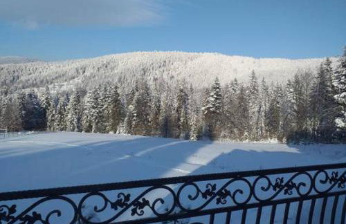 Pod Stokiem - Foto 19