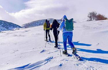 Feudo Magazzeni Etna - Foto 24