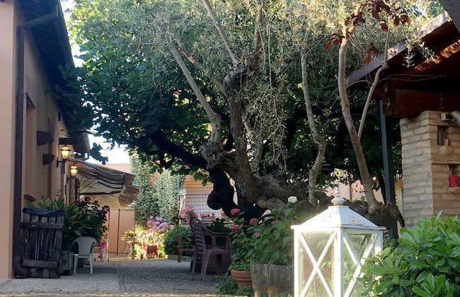 Agriturismo Le Macine - Foto 23