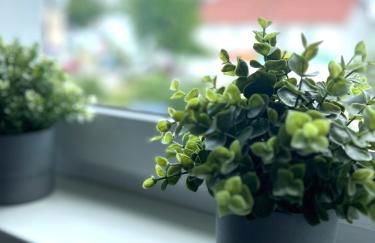 Stilvoll-Fewo - Foto 9