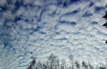 Makowy domek - Foto 49