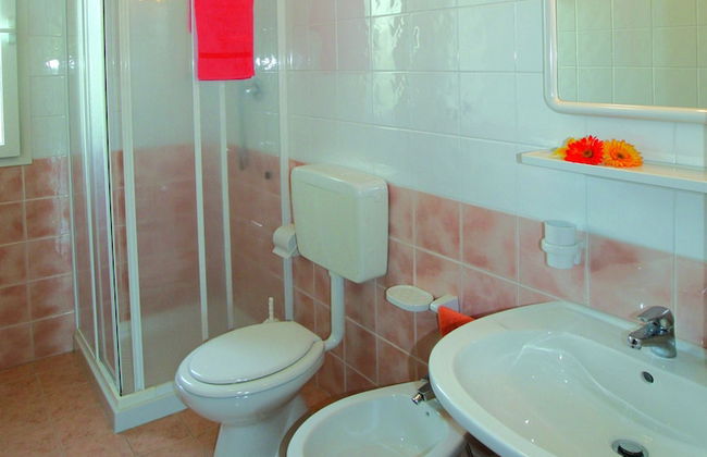 Calycanthus - Foto 37