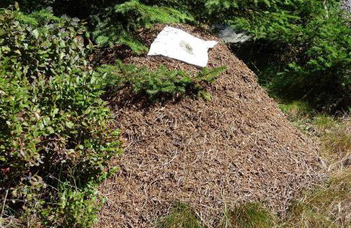 Ferienhaus Hornauer - Foto 36