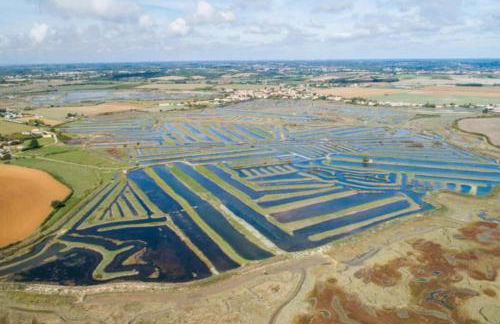 New house with garden - near beach - Foto 21