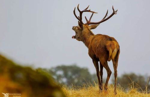 Alojamiento el camarín - Foto 43