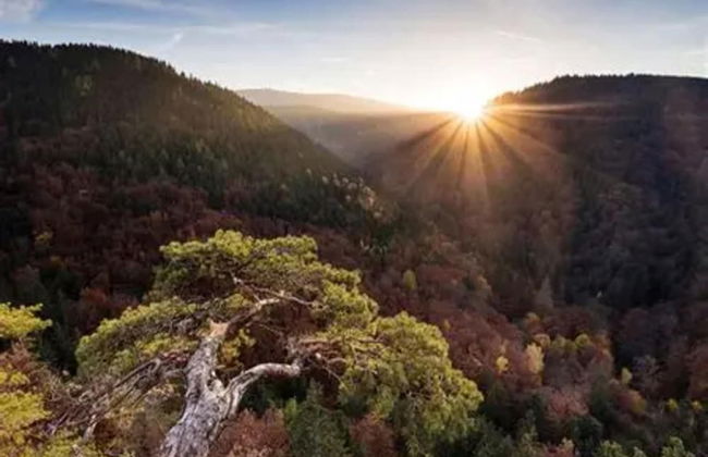 Apartment in Harz Near Brocken Railway - Foto 25