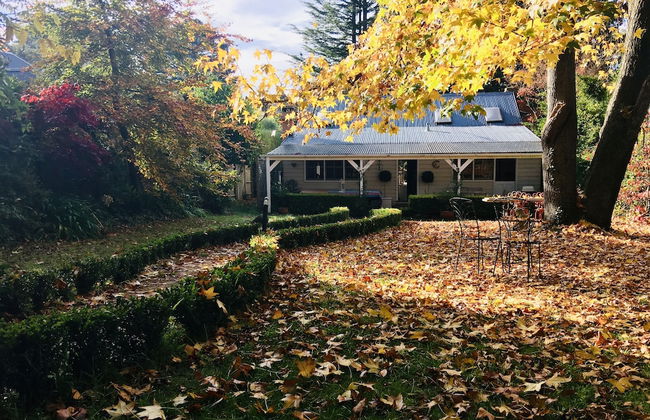 Endellion - Photo 30