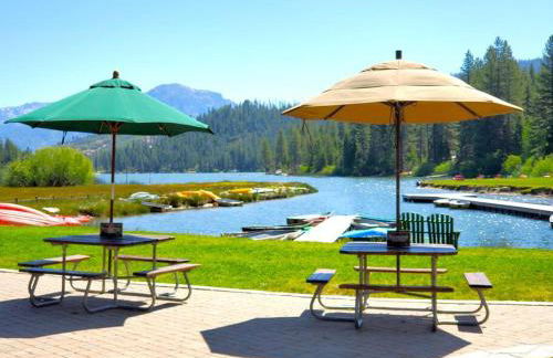 Sequoia Splendor, inside Kings Canyon NP by Visitors Center - Foto 65