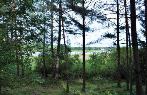 Leśne Zacisze domki letniskowe - Foto 37