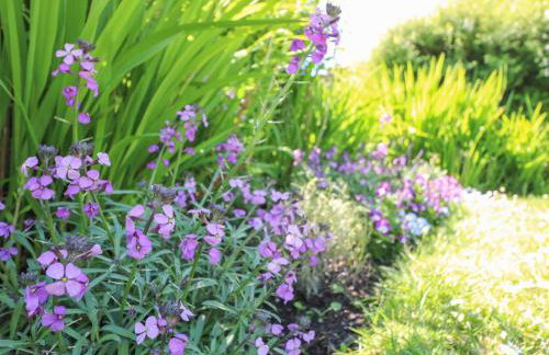 3 Rock Cottages - Foto 14