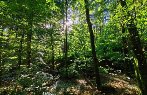 Unterkunft4you Ferienhaus Zum Burgfried - Foto 68