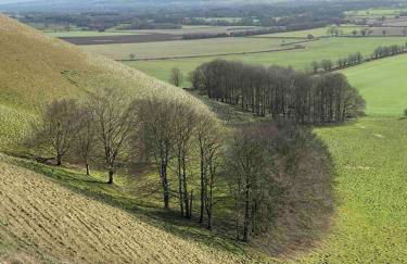 Cosy Rural Retreat, Sleeps 3 & Petfriendly - Foto 67